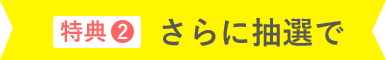 特典1：応募条件を満たした方もれなく全員に